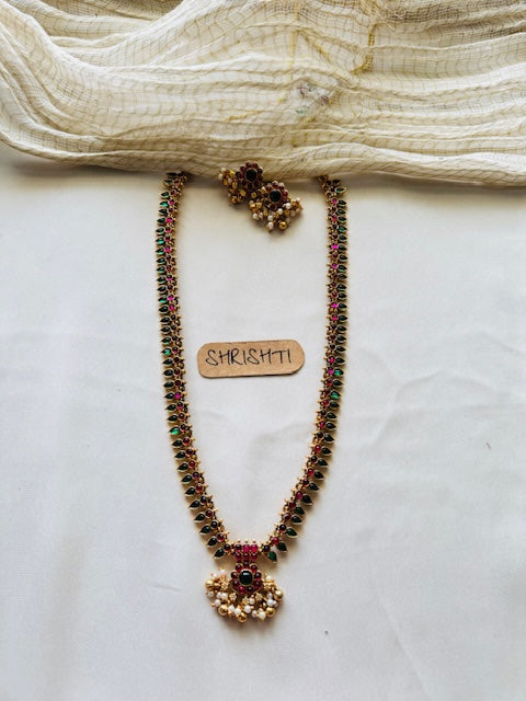 palakka budget haram green